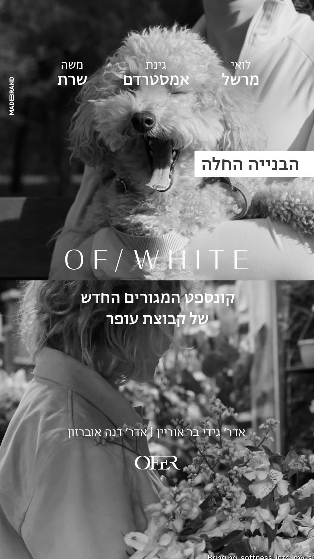 OF/WHITE — story