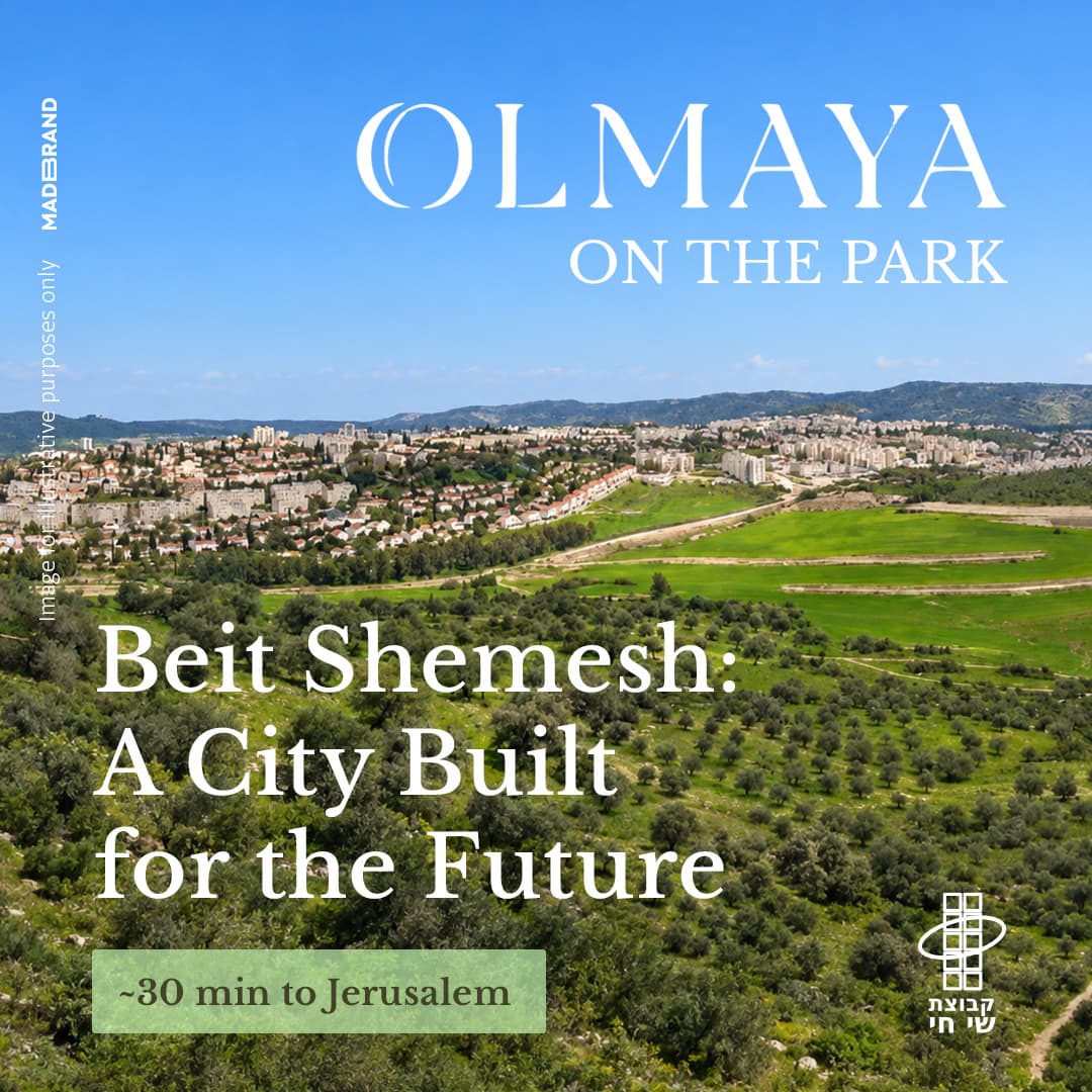 Olmaya — social post